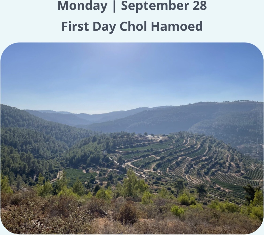Shvil Hamayanot Chol Hamoed