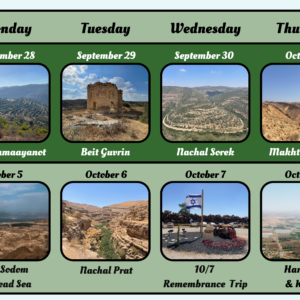 1 Day Trip